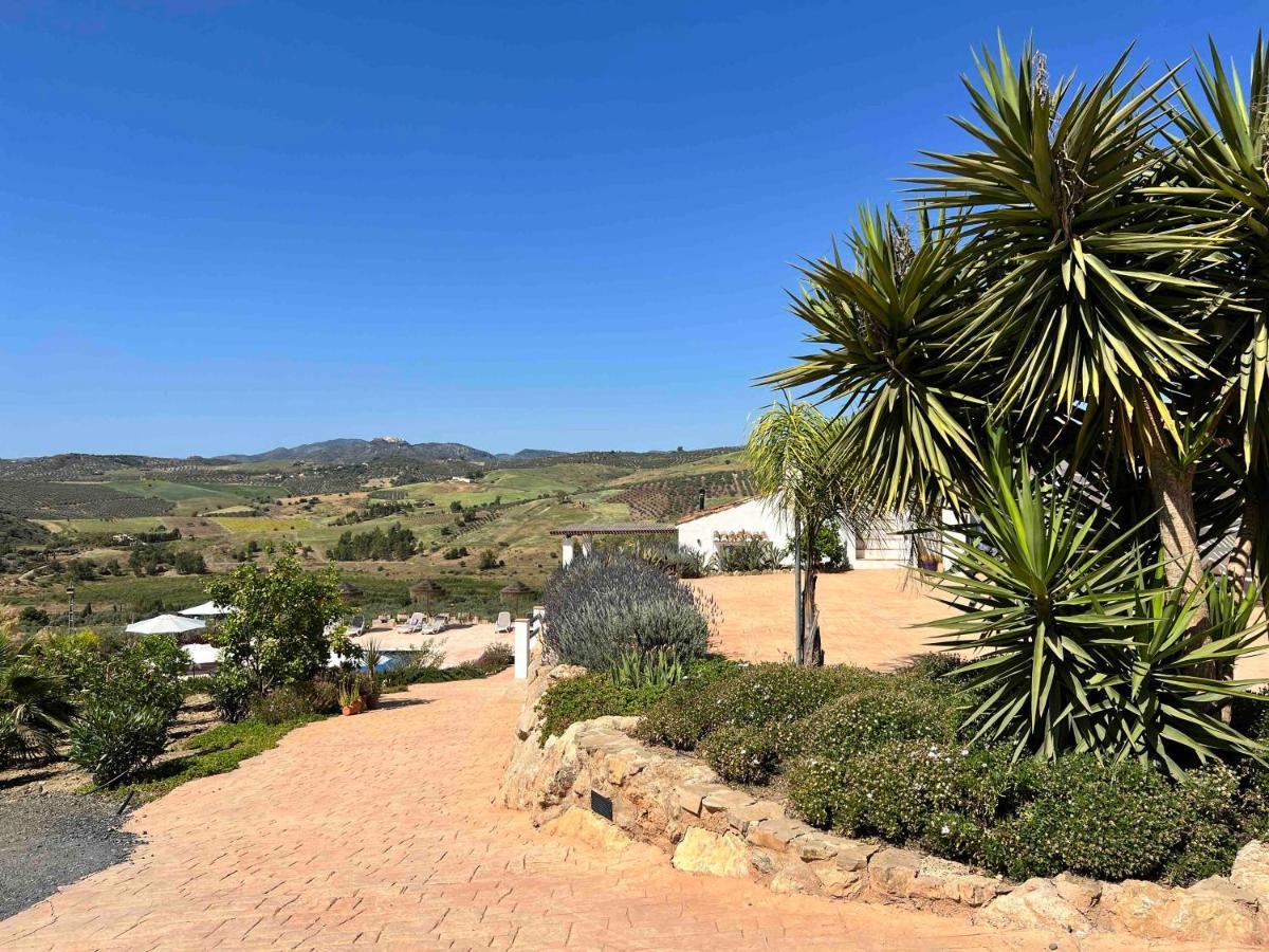 Finca Zayas Casa Rural&Guest Suites Periana Luaran gambar