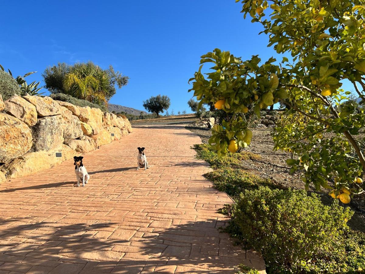 Finca Zayas Casa Rural&Guest Suites Periana Luaran gambar