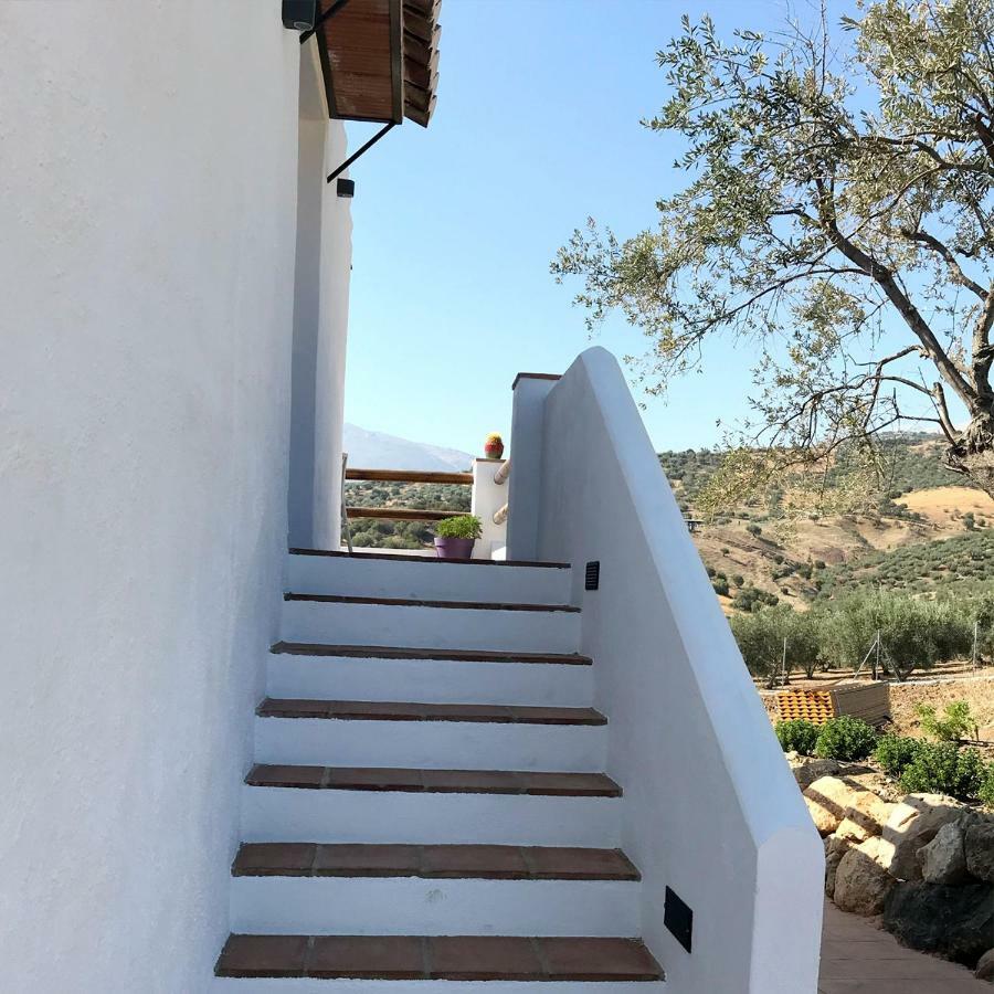 Finca Zayas Casa Rural&Guest Suites Periana Luaran gambar